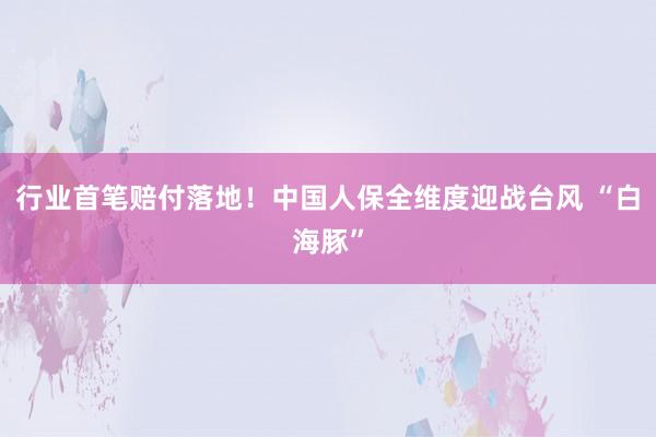行业首笔赔付落地！中国人保全维度迎战台风 “白海豚”