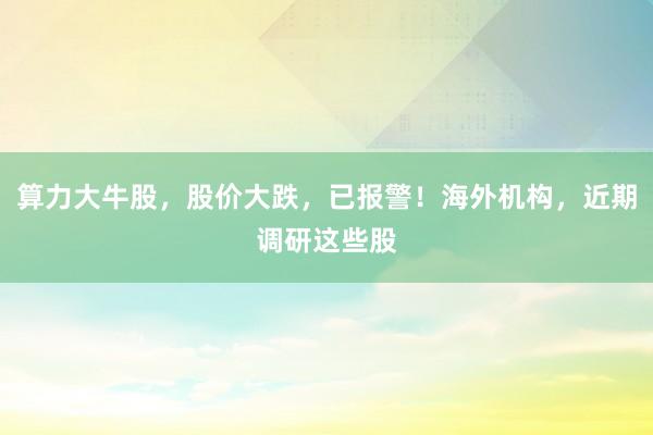 算力大牛股，股价大跌，已报警！海外机构，近期调研这些股
