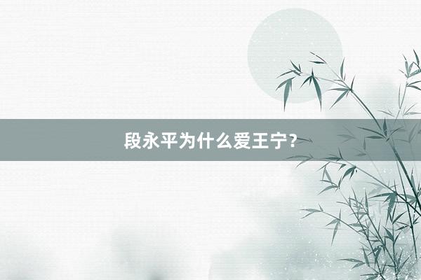 段永平为什么爱王宁？