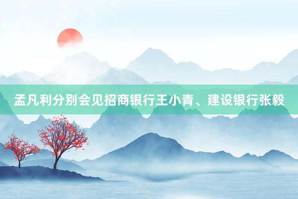 孟凡利分别会见招商银行王小青、建设银行张毅