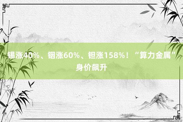 锡涨40%、铟涨60%、钽涨158%！“算力金属”身价飙升