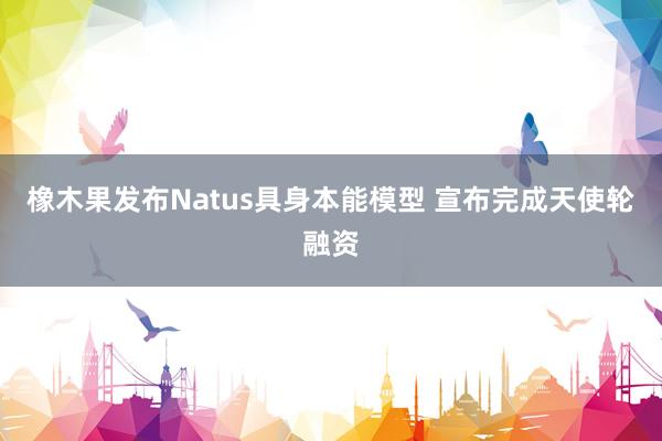 橡木果发布Natus具身本能模型 宣布完成天使轮融资