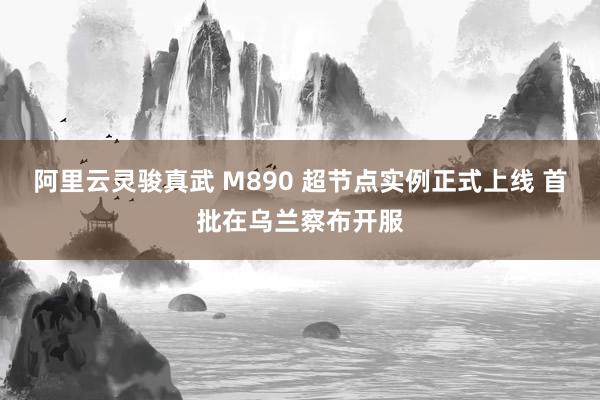 阿里云灵骏真武 M890 超节点实例正式上线 首批在乌兰察布开服