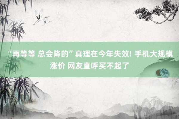 “再等等 总会降的”真理在今年失效! 手机大规模涨价 网友直呼买不起了