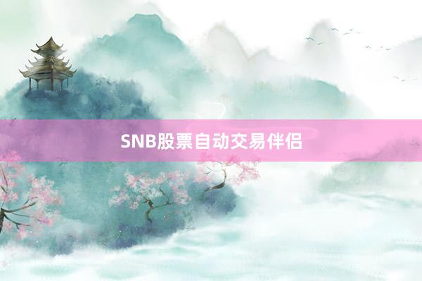 SNB股票自动交易伴侣