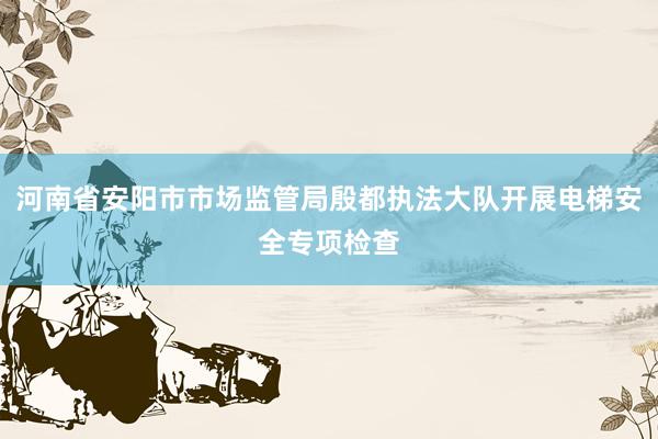 河南省安阳市市场监管局殷都执法大队开展电梯安全专项检查