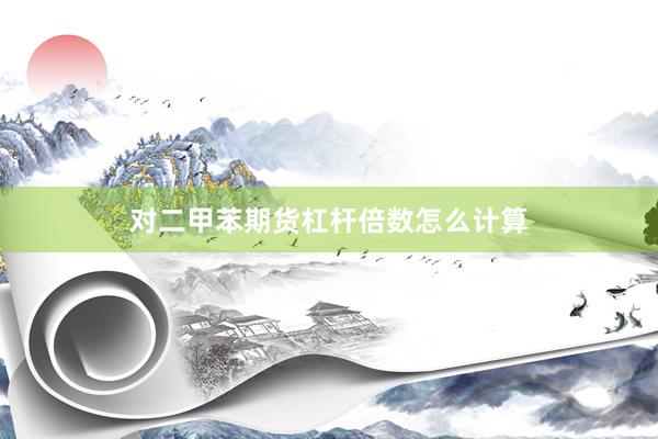 对二甲苯期货杠杆倍数怎么计算