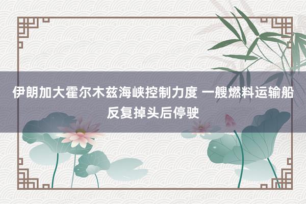 伊朗加大霍尔木兹海峡控制力度 一艘燃料运输船反复掉头后停驶