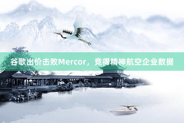 谷歌出价击败Mercor，竞得精神航空企业数据