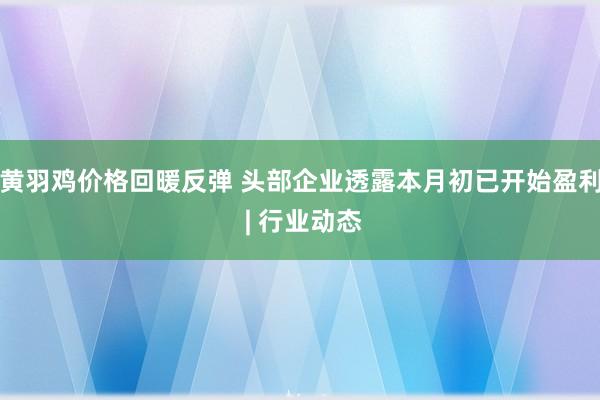 黄羽鸡价格回暖反弹 头部企业透露本月初已开始盈利 | 行业动态