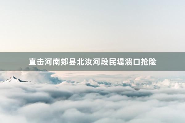 直击河南郏县北汝河段民堤溃口抢险