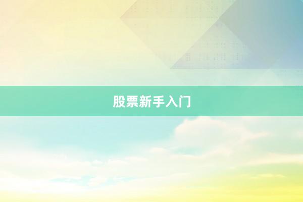 股票新手入门
