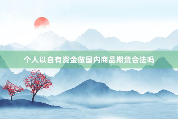 个人以自有资金做国内商品期货合法吗
