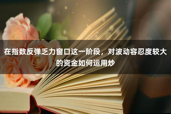 在指数反弹乏力窗口这一阶段，对波动容忍度较大的资金如何运用炒