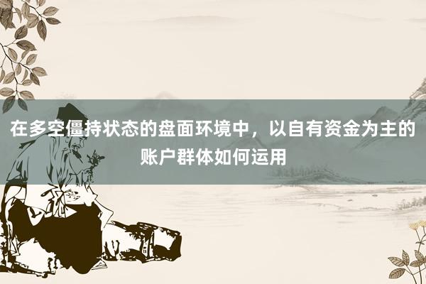 在多空僵持状态的盘面环境中，以自有资金为主的账户群体如何运用