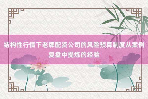 结构性行情下老牌配资公司的风险预算制度从案例复盘中提炼的经验