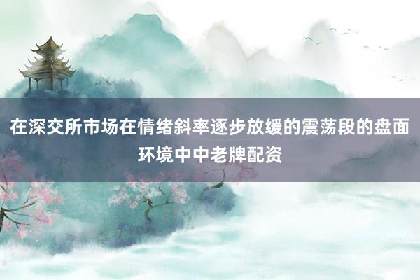 在深交所市场在情绪斜率逐步放缓的震荡段的盘面环境中中老牌配资