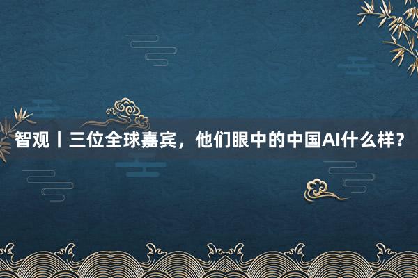智观丨三位全球嘉宾,他们眼中的中国AI什么样?