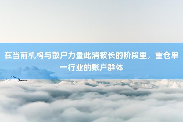 在当前机构与散户力量此消彼长的阶段里，重仓单一行业的账户群体