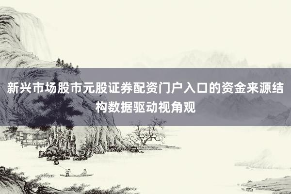 新兴市场股市元股证券配资门户入口的资金来源结构数据驱动视角观