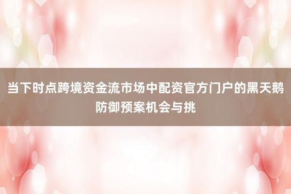 当下时点跨境资金流市场中配资官方门户的黑天鹅防御预案机会与挑