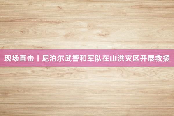 现场直击丨尼泊尔武警和军队在山洪灾区开展救援