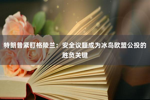 特朗普紧盯格陵兰：安全议题成为冰岛欧盟公投的胜负关键