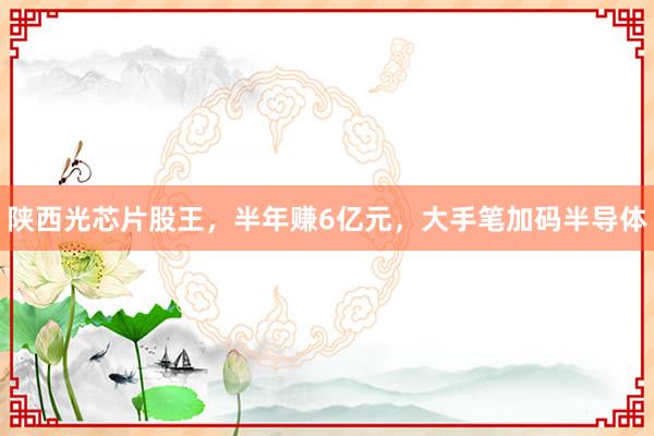陕西光芯片股王，半年赚6亿元，大手笔加码半导体
