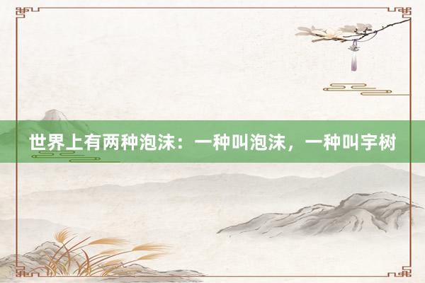 世界上有两种泡沫：一种叫泡沫，一种叫宇树