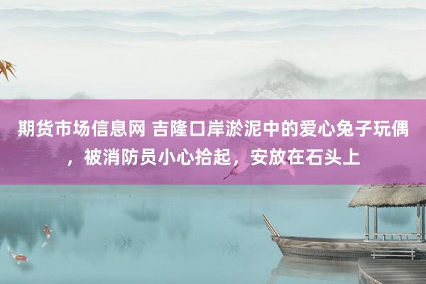 期货市场信息网 吉隆口岸淤泥中的爱心兔子玩偶，被消防员小心拾起，安放在石头上