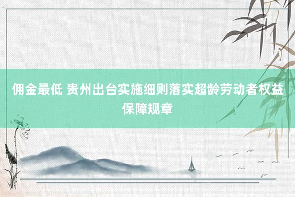 佣金最低 贵州出台实施细则落实超龄劳动者权益保障规章