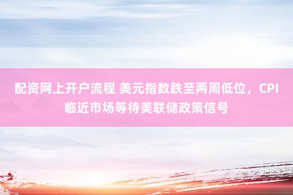 配资网上开户流程 美元指数跌至两周低位，CPI临近市场等待美联储政策信号
