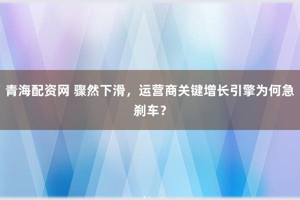 青海配资网 骤然下滑，运营商关键增长引擎为何急刹车？
