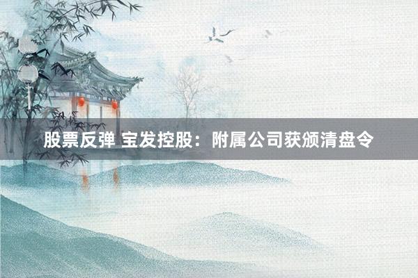 股票反弹 宝发控股：附属公司获颁清盘令