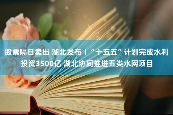 股票隔日卖出 湖北发布丨“十五五”计划完成水利投资3500亿 湖北协同推进五类水网项目