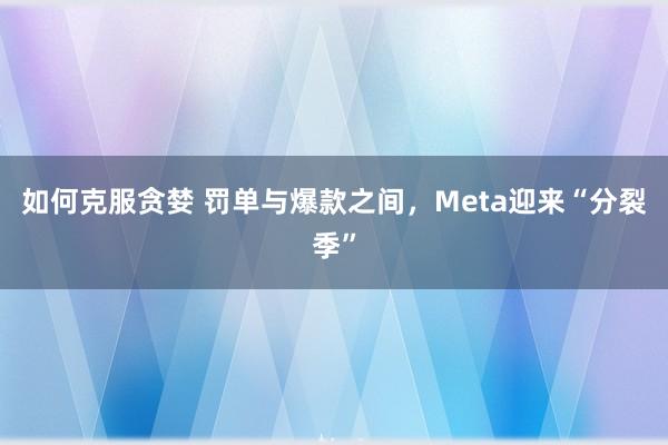 如何克服贪婪 罚单与爆款之间，Meta迎来“分裂季”